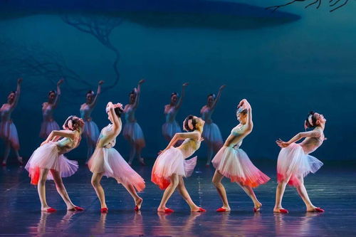 大年初一，舞劇《朱鹮》杭州站唯美鉅獻(xiàn)，開(kāi)啟新春文藝盛宴